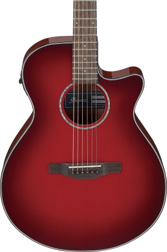 IBANEZ AEG51-TRH фото 5